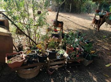 Imagem 1 · Fazenda para venda em Área Rural de Araguari, Araguari