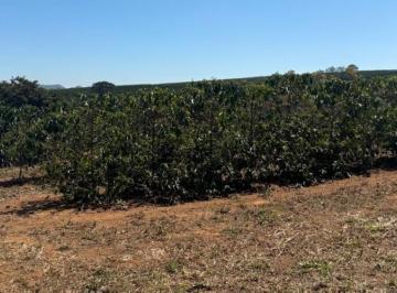 Imagem 1 · Chácara para venda em Área Rural de Varginha, Varginha