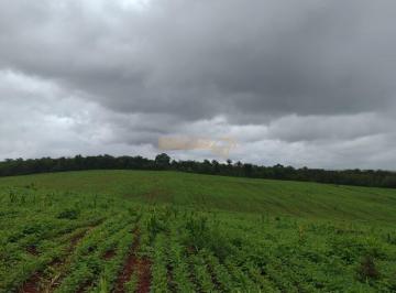 Imagem 1 · Fazenda para venda em Área Rural de Araguari, Araguari