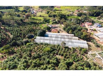 Terreno · 110m² · 4 Quartos · Chácara para venda em Centro de 110.00m² com 4 Quartos e 1 Suite