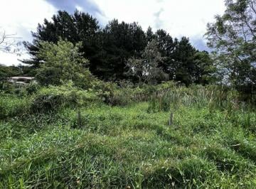 tdcukcw2yte0zmq3mtu4nta3_md · Terreno - Condomínio Fazendinha - Granja Viana - SP