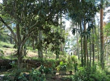 yszr9g42yte1ntrmmznkn2ux_md · Terreno - Caucaia do Alto - São Paulo