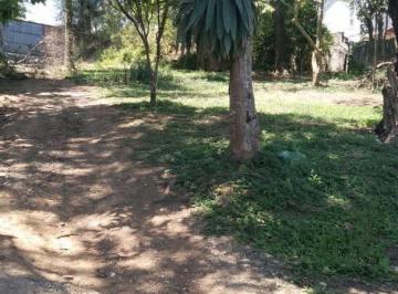 iiqnpy2yte1n2yxztvmnzli_md · Terreno de 3000mq na Granja Viana