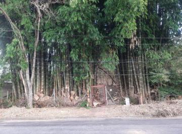 waletue2yte1mdqynmi0zjjk_md · TERRENO - CONDOMINIO PALOS VERDES - GRANJA VIANA - SP