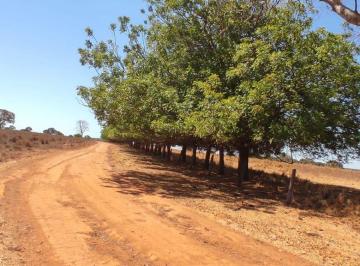 Rural de 3 quartos, Araguaçu · Fazenda em Araguaçu há poucos km da Cidade