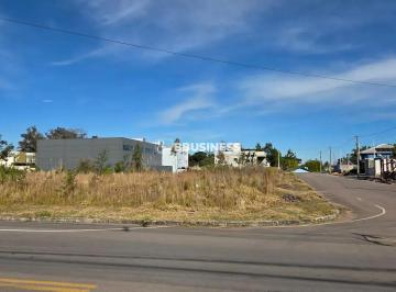 ae00fb00-025a-4184-9df2-c5d56edf53ee1782473113237.jpg · Terreno de esquina,   Loteamento Terra Nobre, São Virgílio, Caxias do Sul, RS
