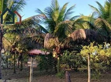 chacara-a-venda-18000m-zona-rural-serra-grande-ba1702387728229cbzfu.jpg · Terreno para Venda em Uruçuca/BA - 0 Dorm. 10 m2 Área Útil