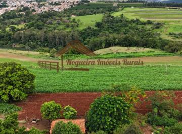 Rural , Avaré · Sítio com 8 alqueires à venda na região de Piraju-SP