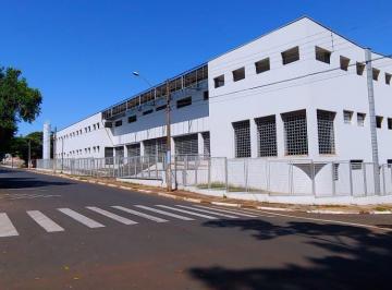 Apartamento · 4800m² · Apartamento em Artur Nogueira, Artur Nogueira/SP de 4800m² para locação R$ 65.000,00/mes