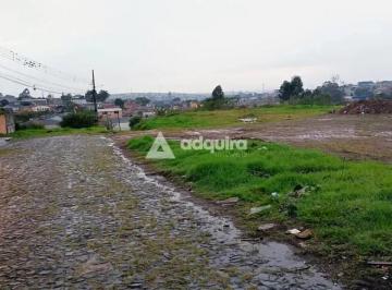 Terreno · 4839m² · Terreno em Boa Vista, Ponta Grossa/PR de 4839m² à venda por R$ 3.500.000,00