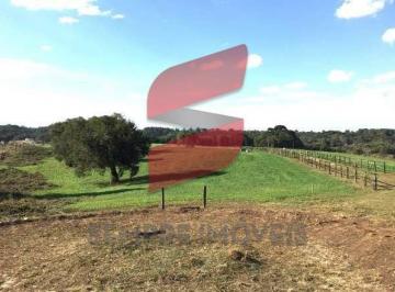 Terreno · 20000m² · Terreno em Roseira, São José dos Pinhais/PR de 20000m² à venda por R$ 3.740.000,00