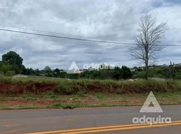 Terreno · 8952m² · Terreno em Cará-cará, Ponta Grossa/PR de 8952m² à venda por R$ 3.400.000,00
