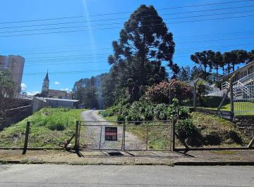 Foto 01 · Terreno, Alegre, Rio Negrinho, SC