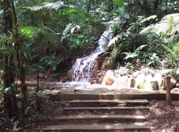 Rural · 3 Quartos ·  Chácara 35.000 M² DE NATUREZA, ESPAÇO E UMA VISTA