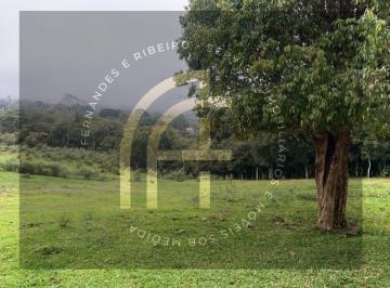 202609022021518878.jpg · Chácara para Venda em Mandirituba, Meleiro
