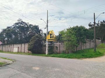 182603771313cef03f8b8bbeda8337.jpeg · Excelente Terreno à venda em São José dos Pinhais, Itália, 5.999,17m²