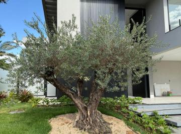 Casa · 376m² · 4 Quartos · 3 Vagas · Sobrado à Venda - Condomínio Jardins Lisboa | Goiânia - GO