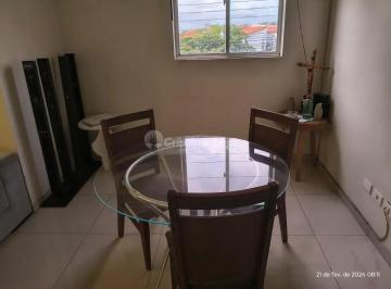 whatsapp-image-2026-09-01-at-16-47-24-31788361279859.jpeg · Imoveis - em Campestre