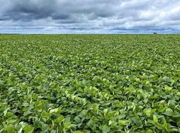 153898_0ba7811c-5caf-4b15-8033-5d37aca631be_2x.jpg · Fazenda Eldorado