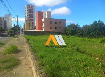 Terreno · 780m² · Terreno para venda em Mangal de 780.00m²