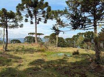 Terreno · 20000m² · OFERTA EXCLUSIVA