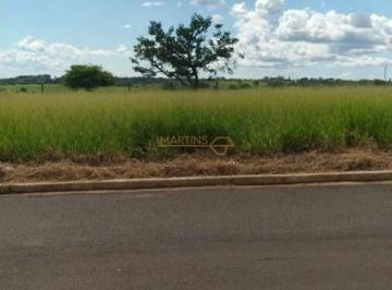 Imagem 1 · Terreno para venda em Bela Vista, Araguari