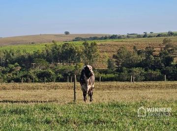 Imagem 1 · Sítio para venda em Floraí
