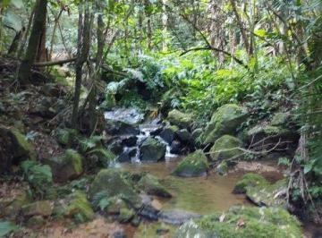 Imagem 1 · Fazenda para venda em Centro, Gravatal