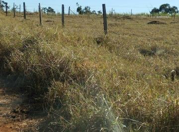 Imagem 1 · Fazenda para venda em Área Rural de Araguari, Araguari