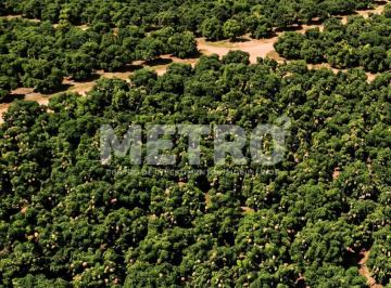 Imagem 1 · Fazenda para venda em Centro, Casa Nova
