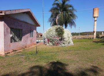 Imagem 1 · Sítio para venda em Mirassolândia