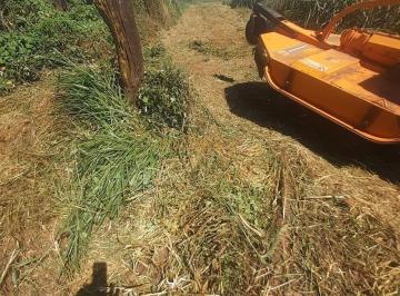 Imagem 1 · Terreno para venda em Área Rural de Araguari, Araguari