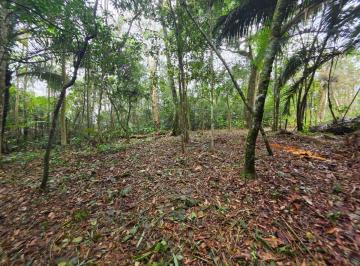 Terreno , Juquitiba · Terreno com boa topografia em Juquitiba