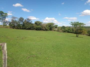 Rural 20000m² Venda  · Sitio Artur Nogueira 20.000 metros Casa, Tanque 50 metros asfalto, aceito carro negócio