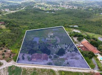 Rural de 3 quartos, Chã Grande · Sítio com 02 hectares à venda em Chã Grande/PE!
