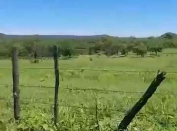 Rural , Montes Claros · Fazenda 1.257,46 Hectares a 123 km de Montes Claros/MG