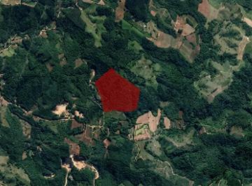 4443159_0.jpg · Area Rural Campo Magro. 21.2693 HA.