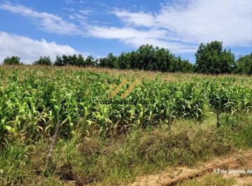 Rural · 70m² · 2 Quartos · Sítio com 2 quartos, 45000 m² à venda - Monte Mor - sem bairro