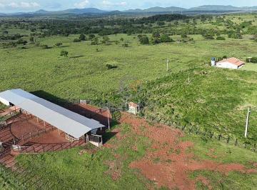 Infraestrutura de curralagem pronta para o manejo diário do gado. · Fazenda 176 Alq à Venda em Colinas TO | 120 Alq Plantio