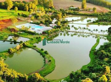 Comercial · 121000m² · VENDA | Negócio,  em Campina Da Lagoa, Campina Da Lagoa