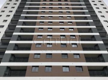 Apartamento Para Alugar Fly Top Life Londrina · Apartamento Para Alugar Fly Top Life Londrina
