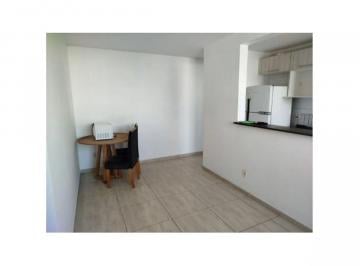 Apartamento de 2 quartos, Santo André · ALUGUEL SEM BUROCRACIA - Apartamento com Cozinha Completa na Vila Homero Thon - Santo André