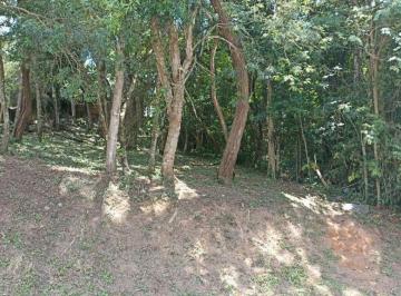 98015856ebc858d51ddcfe8ac206ef305150db27 · Terreno à venda Cond. Reserva do Moinho na Granja Viana