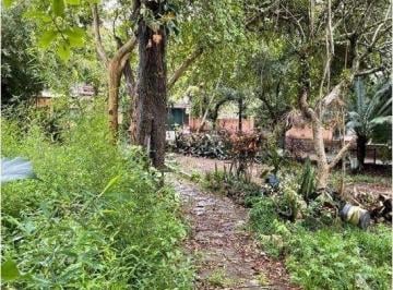Terreno · 2378m² · Terreno à venda - em Tristeza