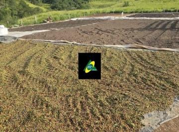 554d85eb119a5612bc885efd461929baca391200 · Fazenda à venda, 2560000 m² por R$ 10.000.000 - Zona Rural - São Tiago/MG