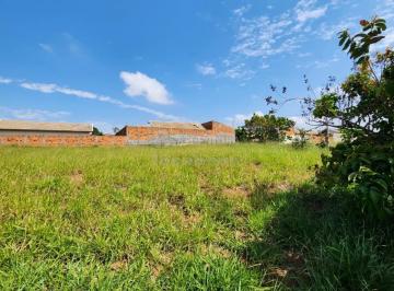 Terreno · 360m² · Terreno Padrão em São José do Rio Preto