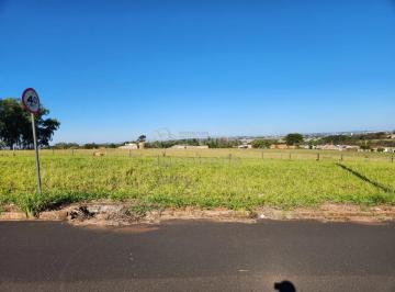 Terreno · 360m² · Terreno Padrão em São José do Rio Preto