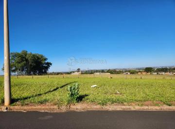 Terreno · 360m² · Terreno Padrão em São José do Rio Preto