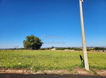Terreno · 360m² · Terreno Padrão em São José do Rio Preto