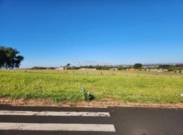 Terreno · 360m² · Terreno Padrão em São José do Rio Preto